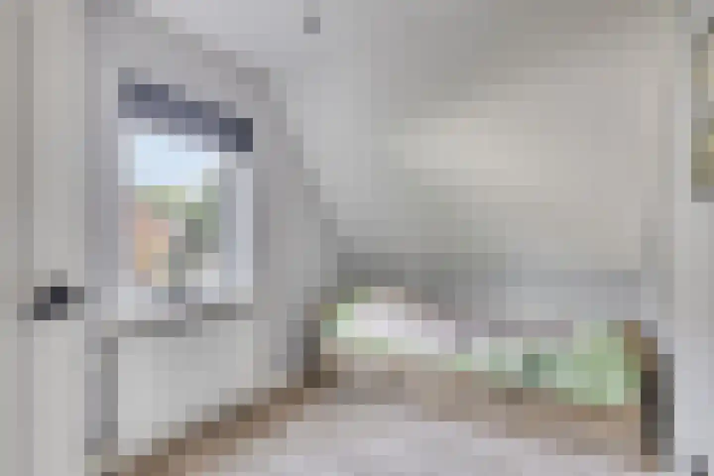 Honskamperweg 52 Lunteren thumbnail 22