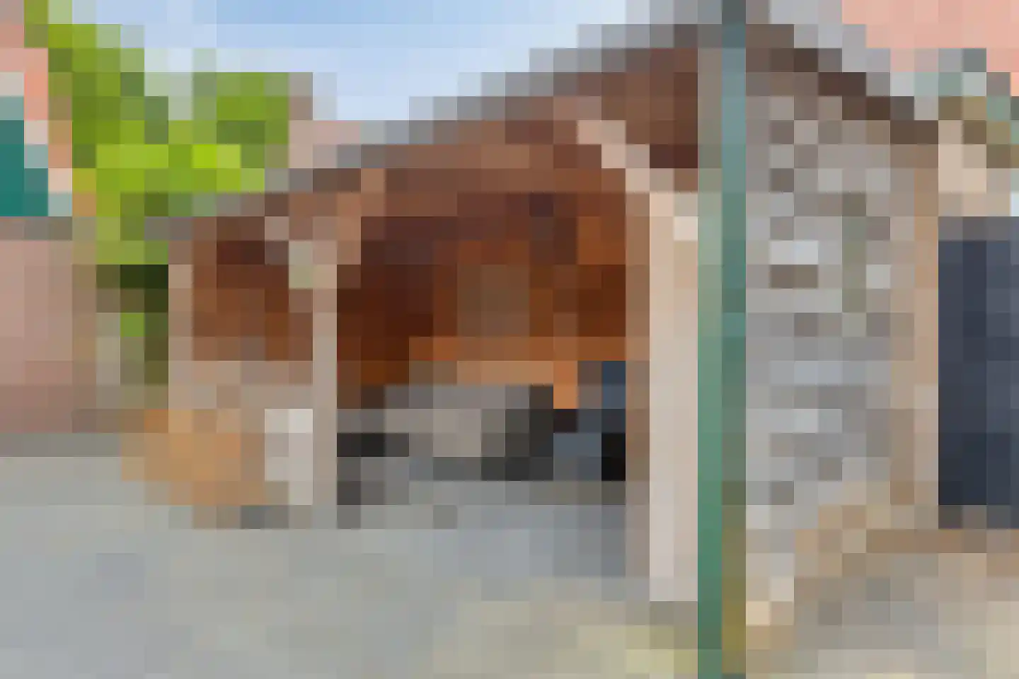 Honskamperweg 52 Lunteren thumbnail 35