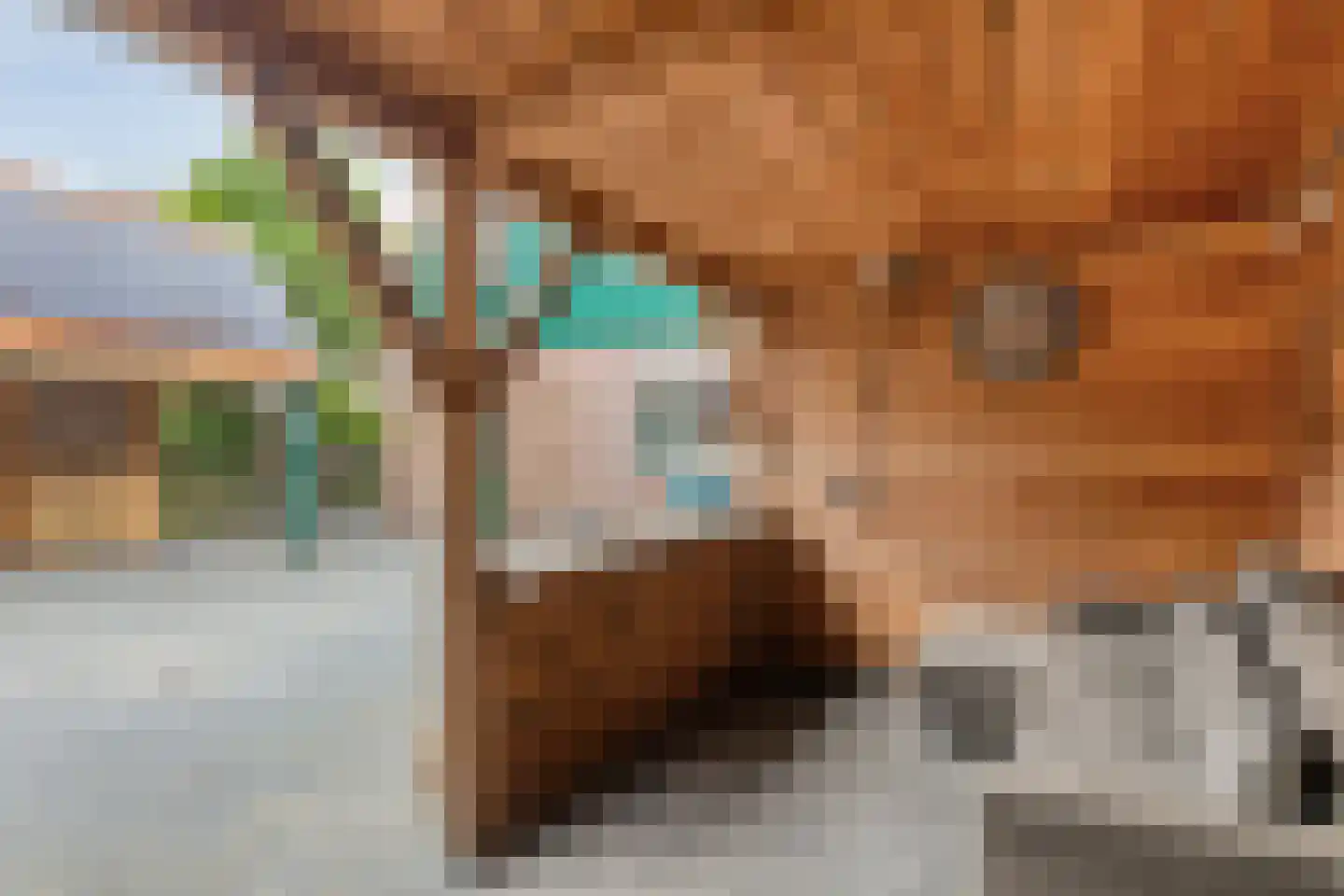 Honskamperweg 52 Lunteren thumbnail 36
