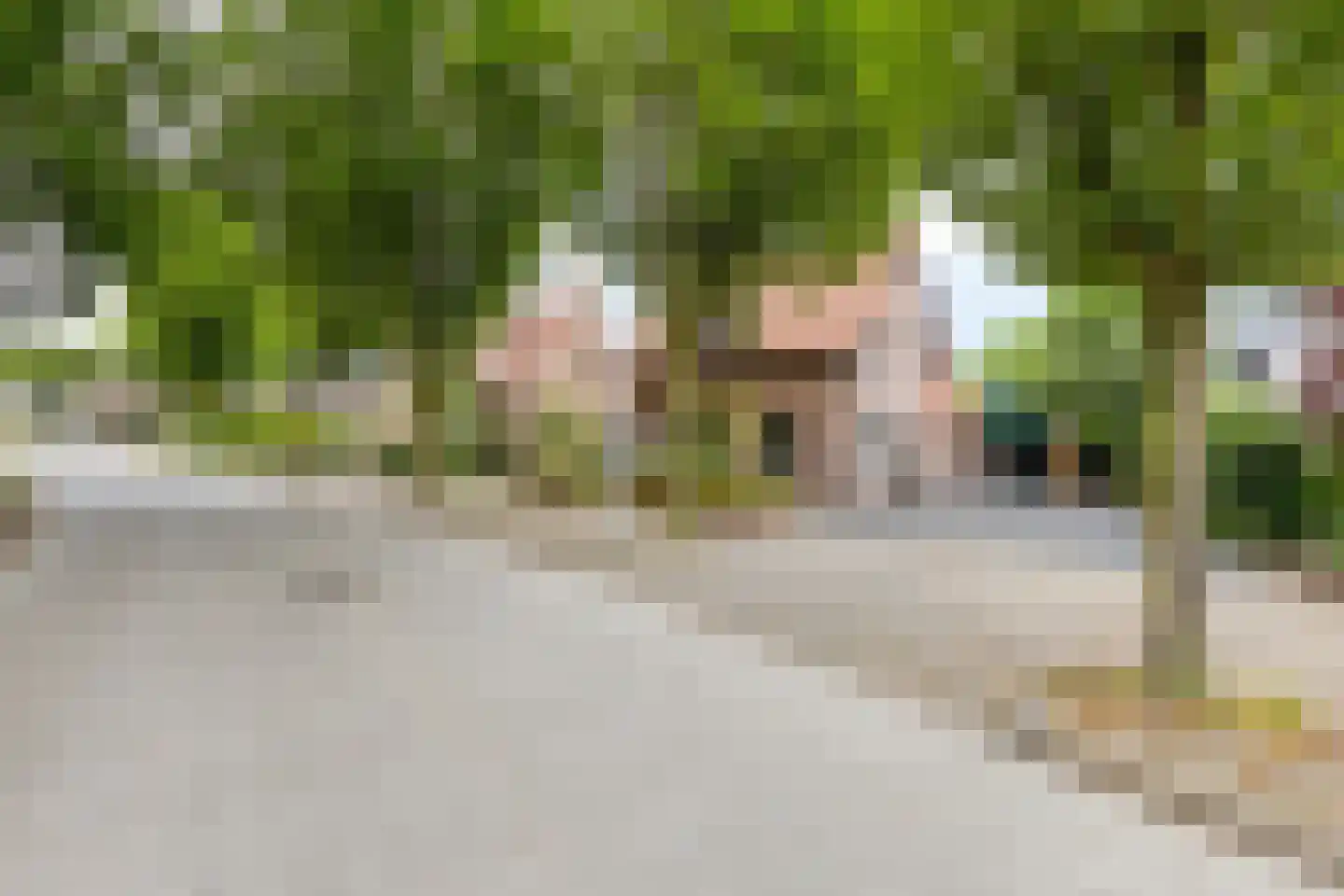 Honskamperweg 52 Lunteren thumbnail 39