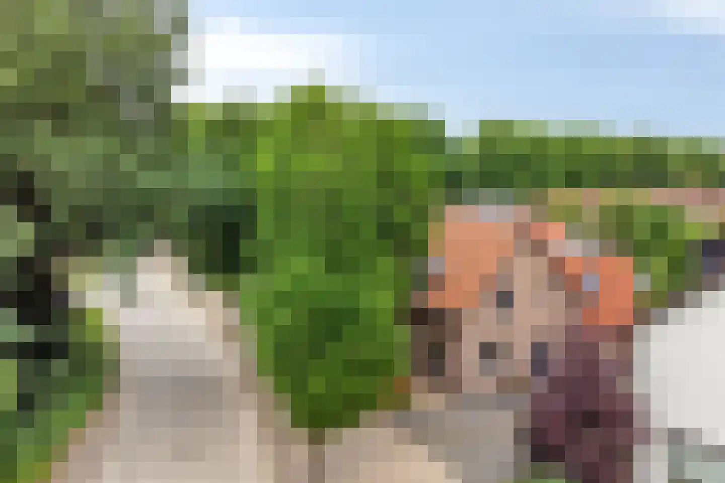 Honskamperweg 52 Lunteren thumbnail 40