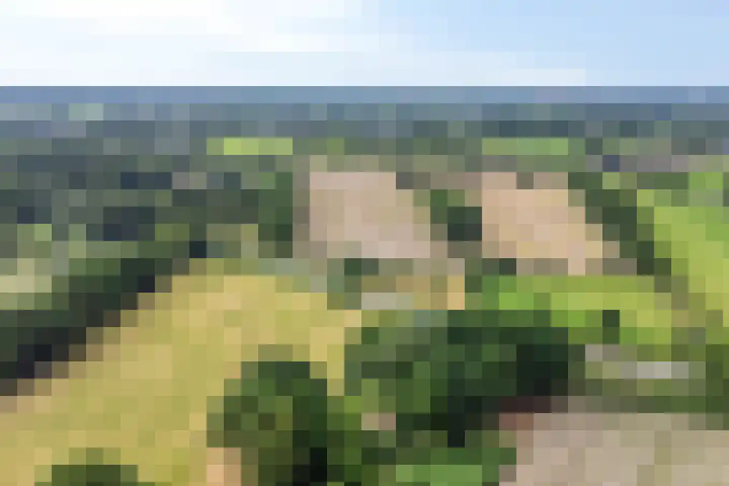 Honskamperweg 52 Lunteren thumbnail 43