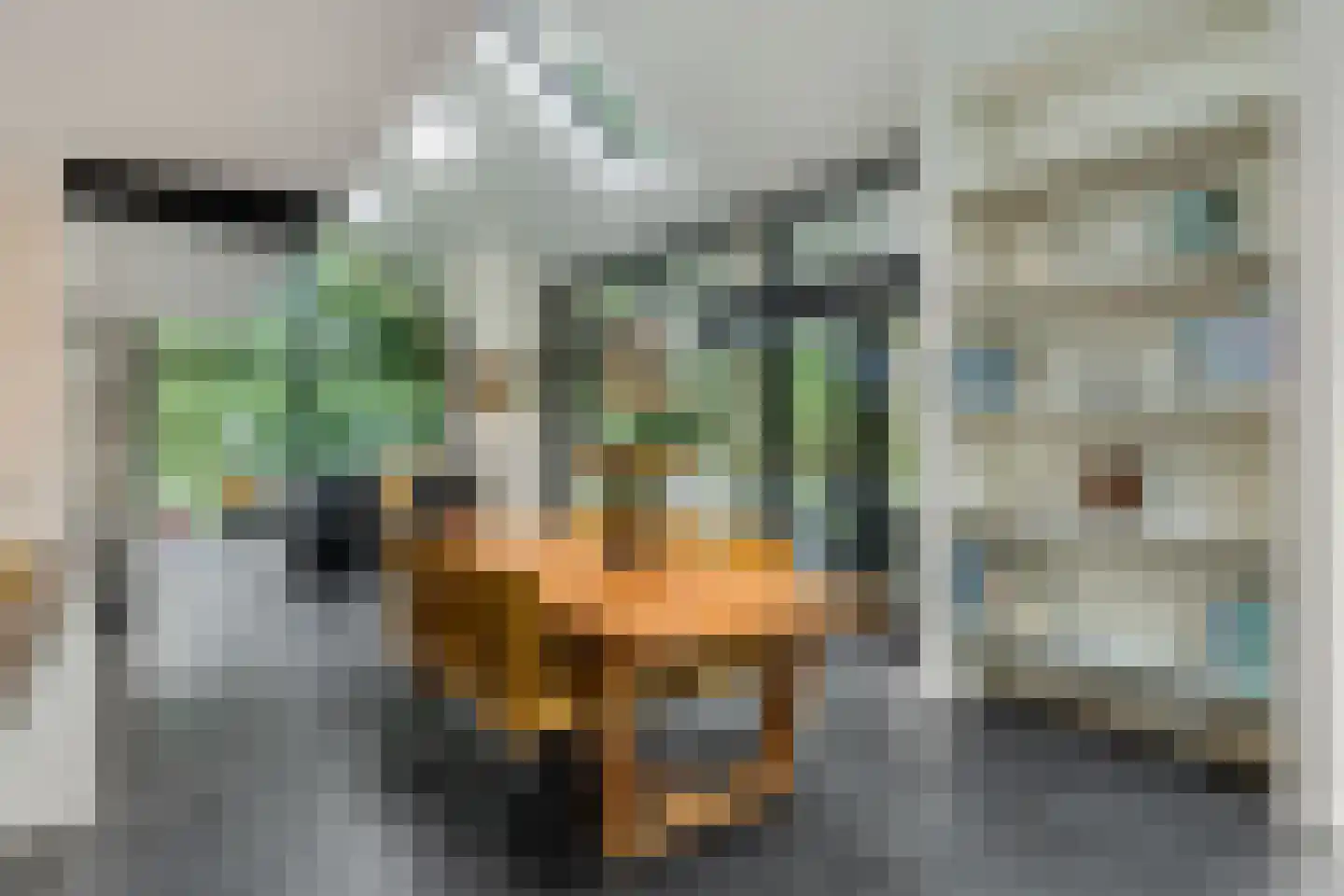 Honskamperweg 66 Lunteren thumbnail 12
