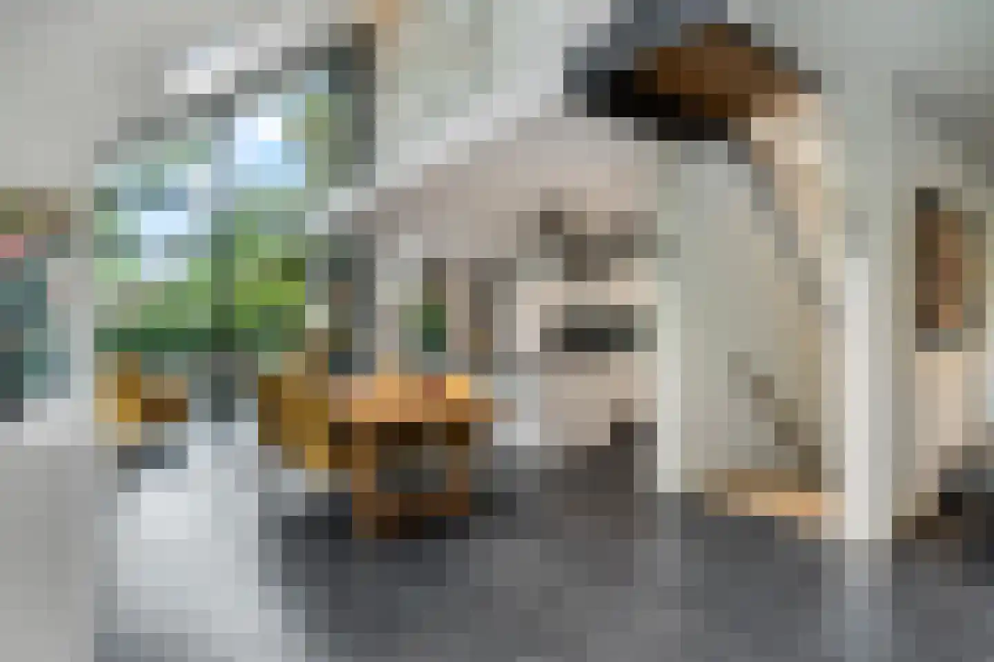 Honskamperweg 66 Lunteren thumbnail 14