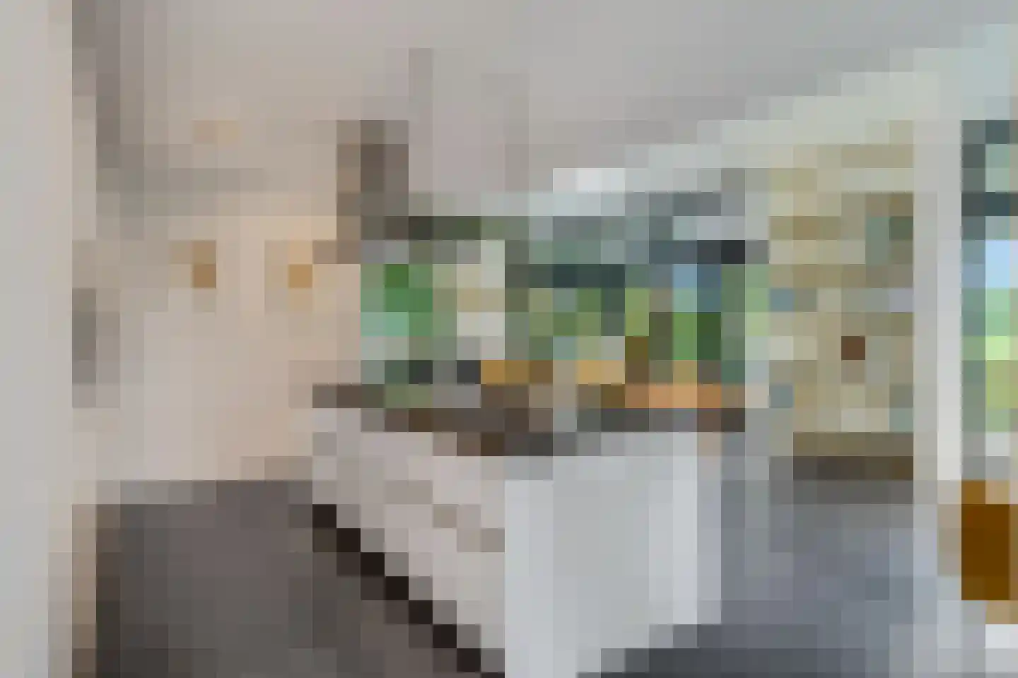 Honskamperweg 66 Lunteren thumbnail 17