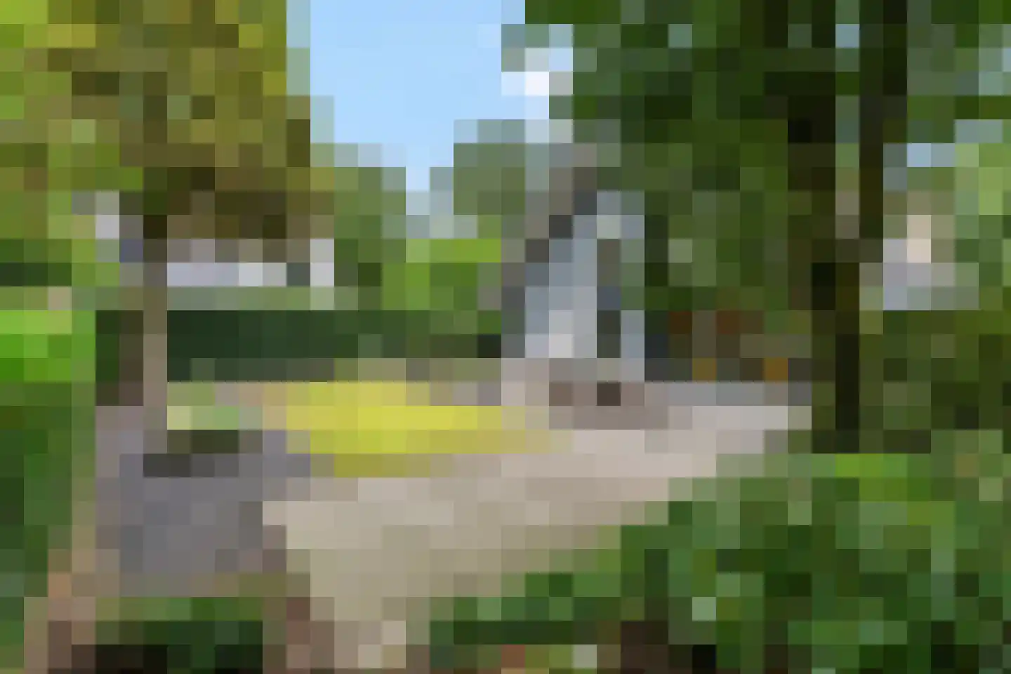 Honskamperweg 66 Lunteren thumbnail 48