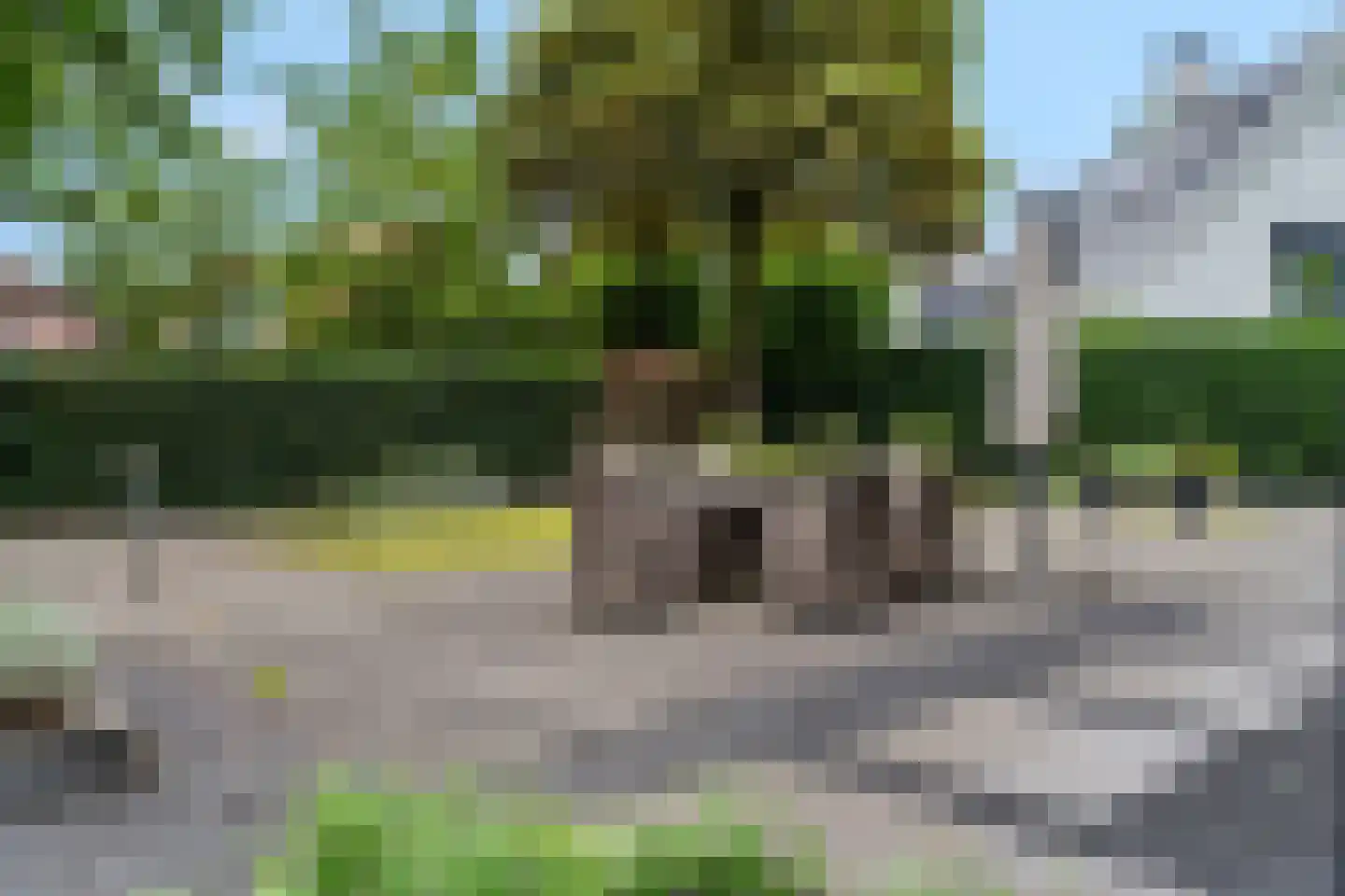 Honskamperweg 66 Lunteren thumbnail 50