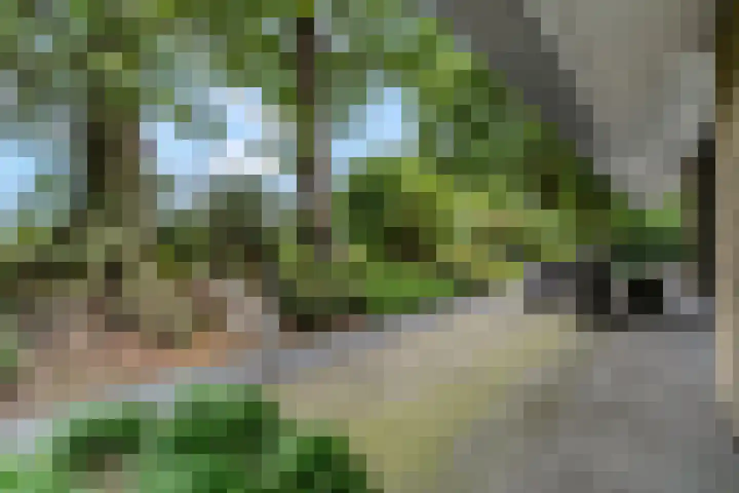 Honskamperweg 66 Lunteren thumbnail 52