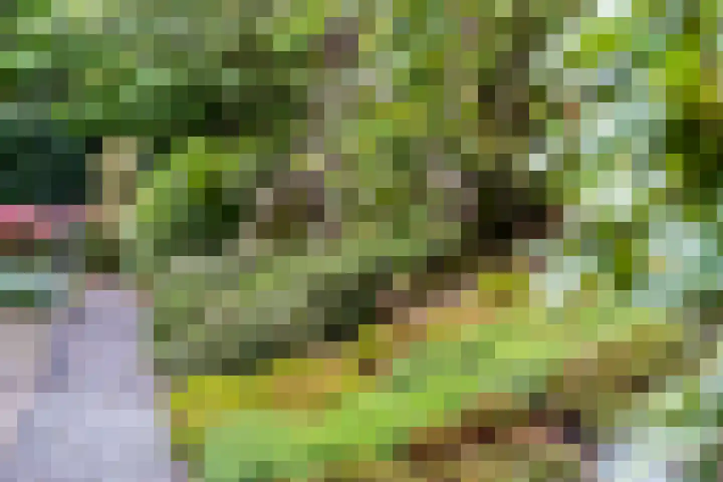 Honskamperweg 66 Lunteren thumbnail 54