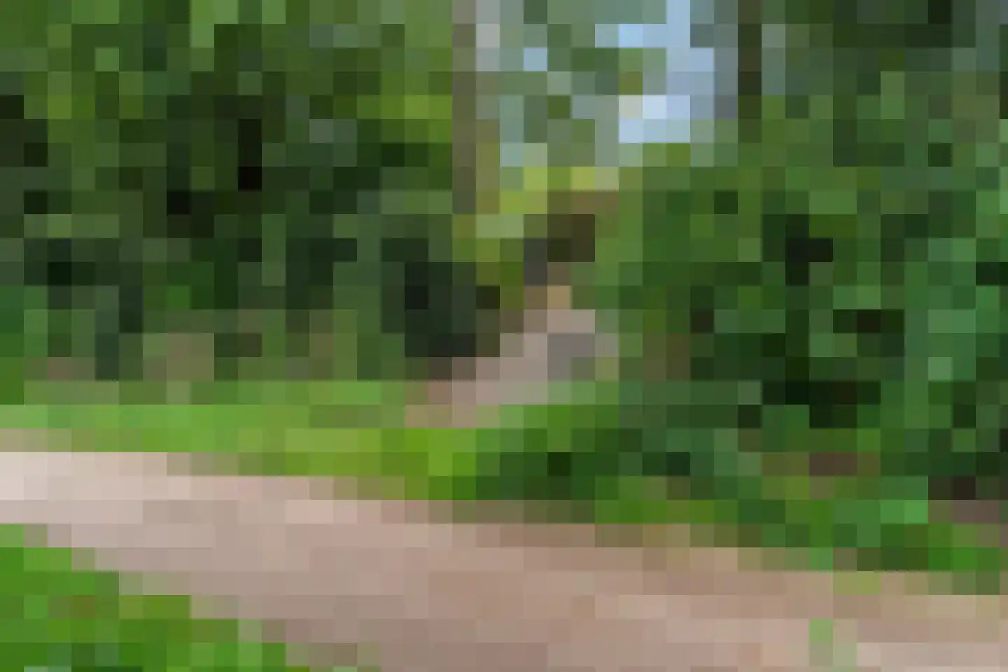 Honskamperweg 66 Lunteren thumbnail 55