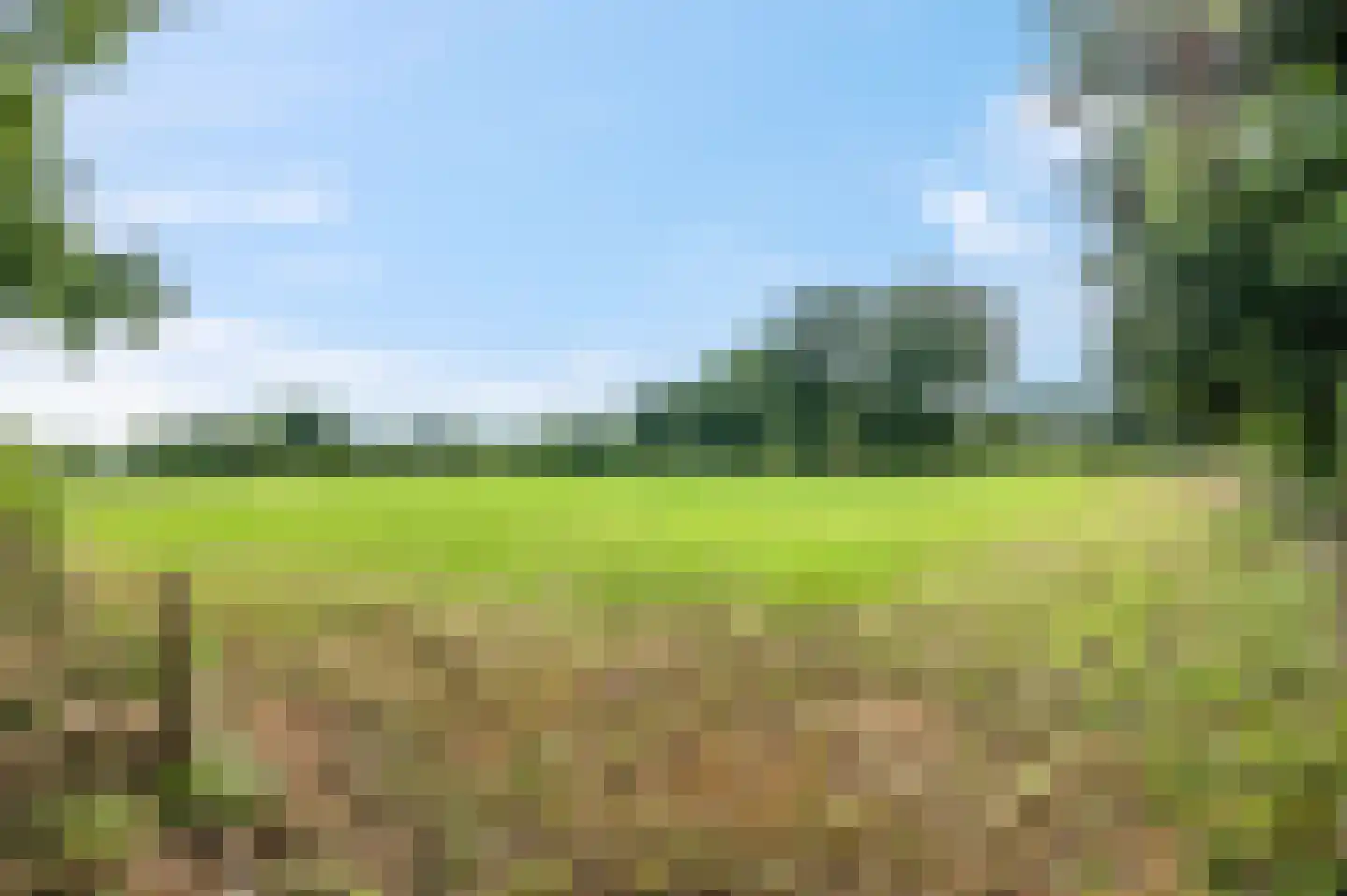 Honskamperweg 66 Lunteren thumbnail 64