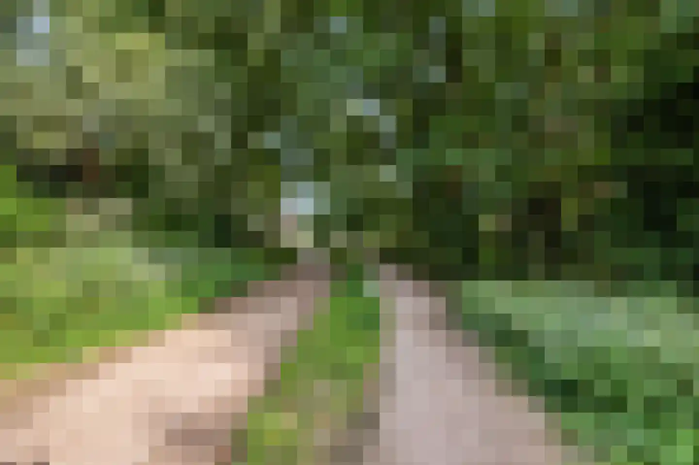 Honskamperweg 66 Lunteren thumbnail 65