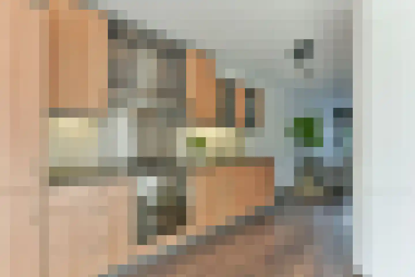 Honswijkpolder 21 De Meern thumbnail 17
