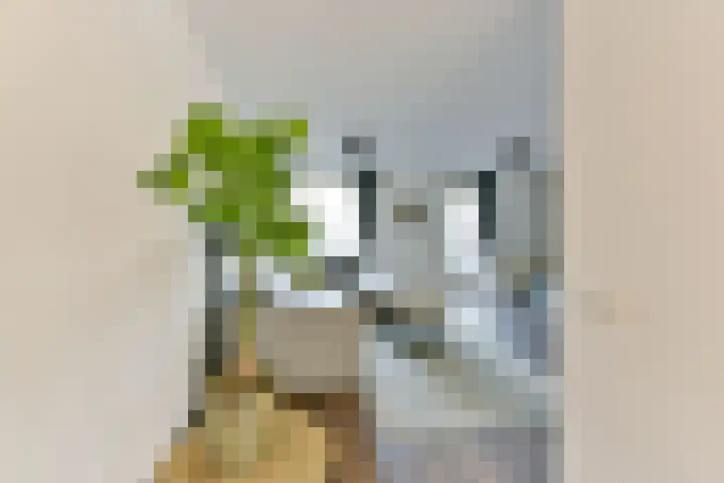 Honswijkpolder 21 De Meern thumbnail 18