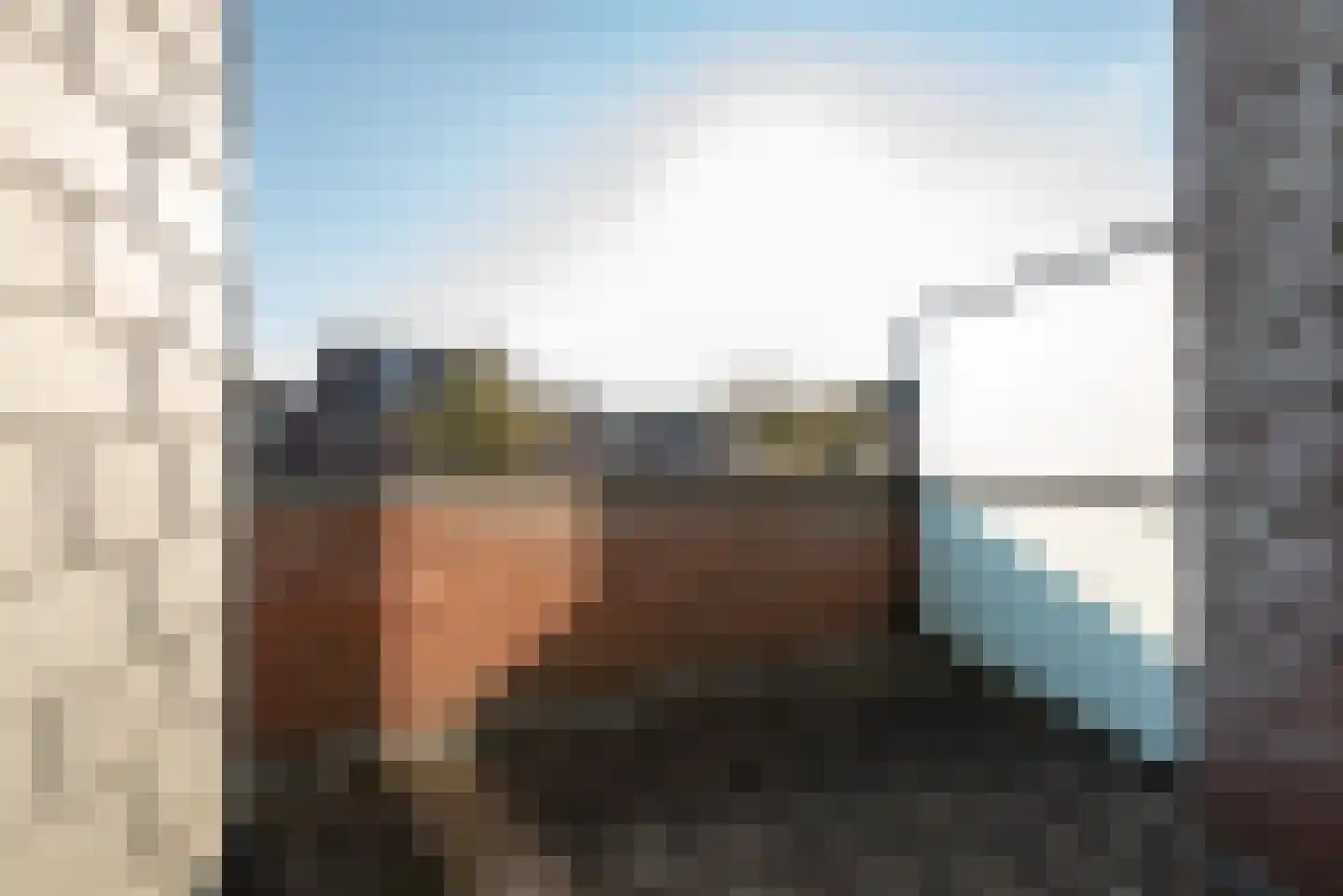 Honswijkpolder 21 De Meern thumbnail 31