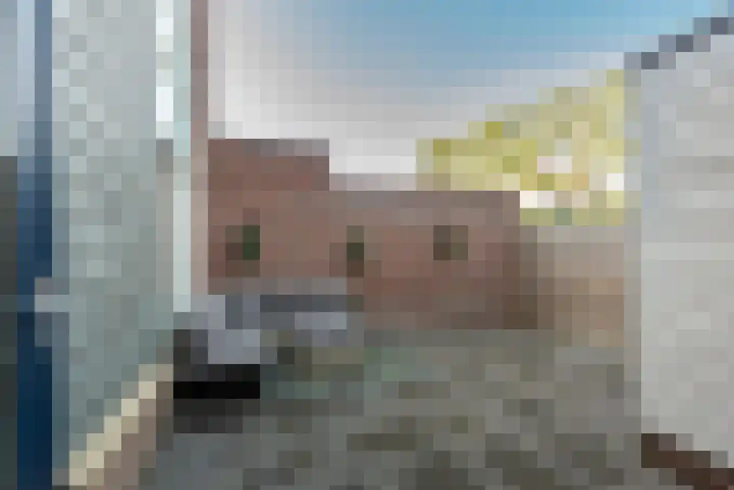 Honswijkpolder 21 De Meern thumbnail 6