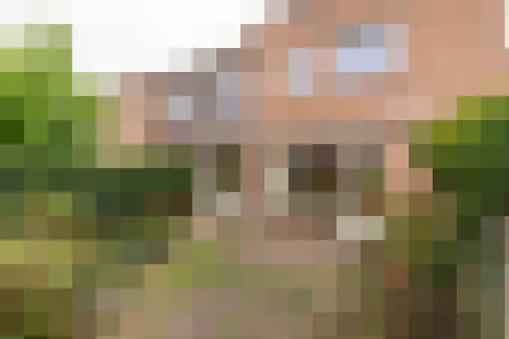 Honswijkpolder 36 De Meern thumbnail 27