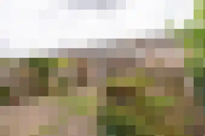 Honswijkpolder 36 De Meern thumbnail 4