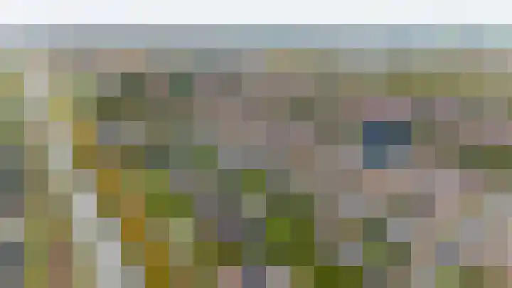 Honswijkpolder 36 De Meern thumbnail 47