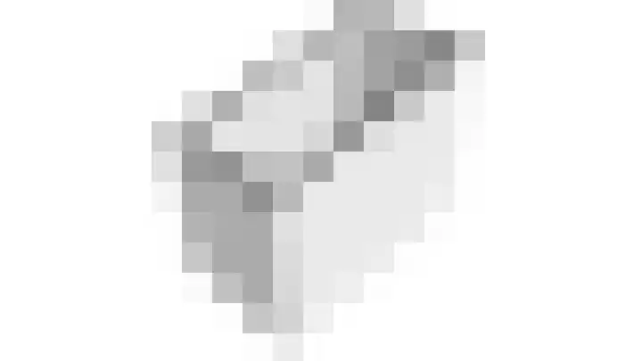 Honswijkpolder 36 De Meern thumbnail 60
