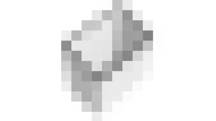 Honswijkpolder 36 De Meern thumbnail 61