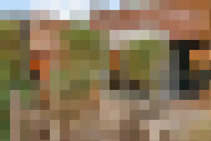 Honswijkpolder 39 dans De Meern