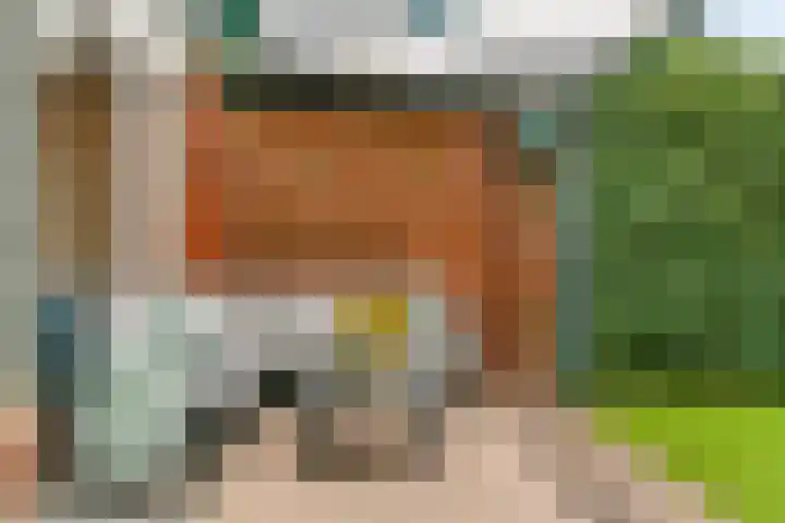 Honswijkpolder 39 De Meern thumbnail 31