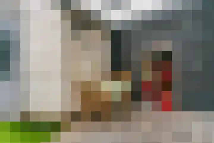 Honswijkpolder 39 De Meern thumbnail 35