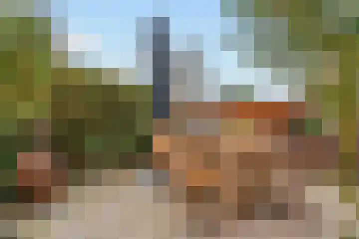 Honswijkpolder 39 De Meern thumbnail 37