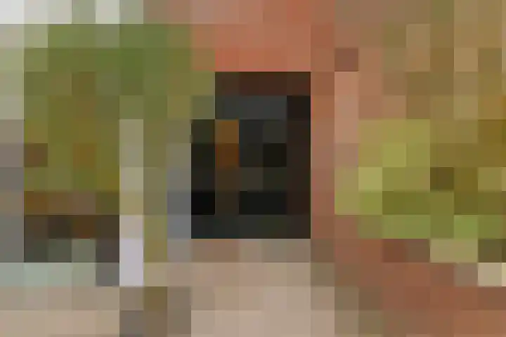 Honswijkpolder 39 De Meern thumbnail 39