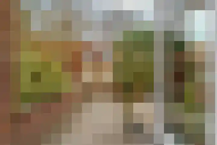 Honswijkpolder 39 De Meern thumbnail 40