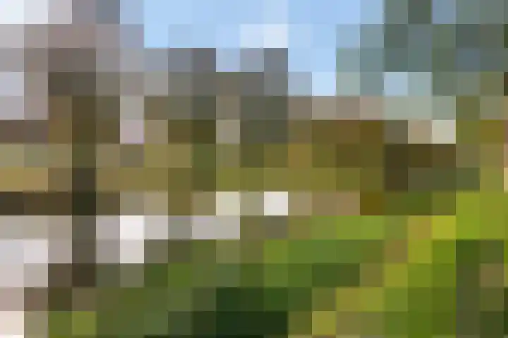Honswijkpolder 39 De Meern thumbnail 44
