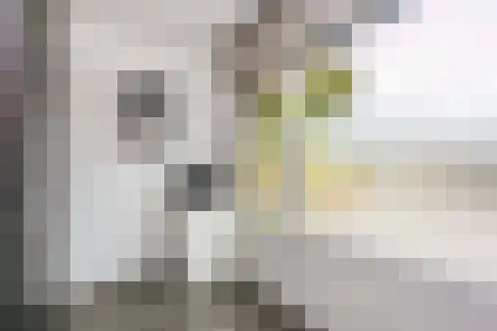 Honswijkpolder 42 De Meern thumbnail 10