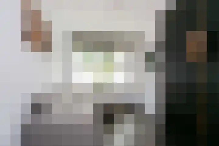 Honswijkpolder 42 De Meern thumbnail 11