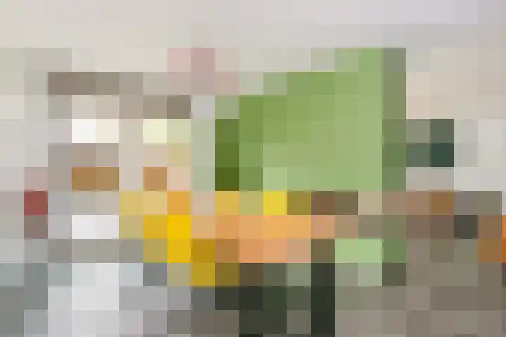 Honswijkpolder 42 De Meern thumbnail 14