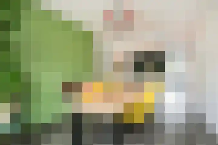 Honswijkpolder 42 De Meern thumbnail 16