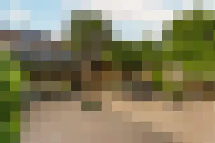 Honswijkpolder 42 De Meern thumbnail 18