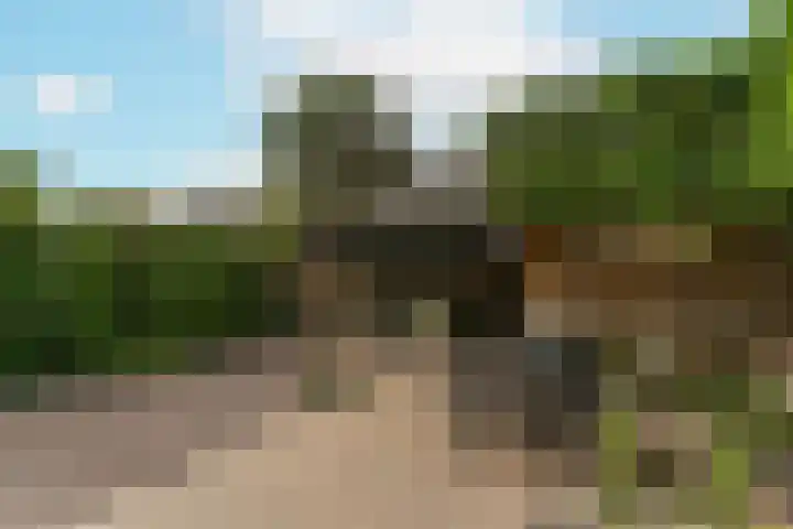 Honswijkpolder 42 De Meern thumbnail 19