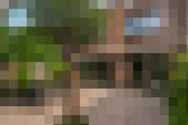 Honswijkpolder 42 De Meern thumbnail 21