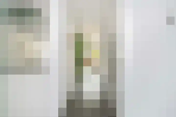 Honswijkpolder 42 De Meern thumbnail 23