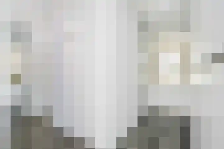 Honswijkpolder 42 De Meern thumbnail 24