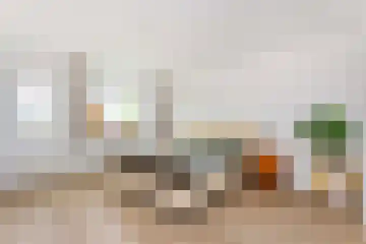 Honswijkpolder 42 De Meern thumbnail 29