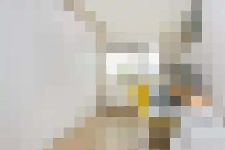 Honswijkpolder 42 De Meern thumbnail 35