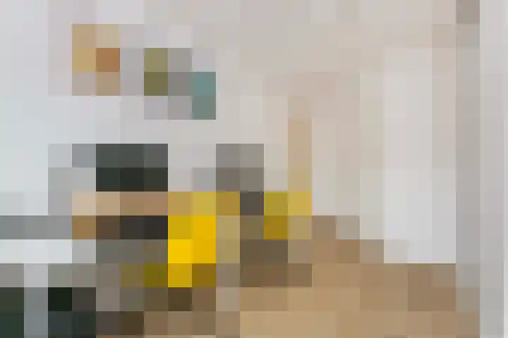 Honswijkpolder 42 De Meern thumbnail 36