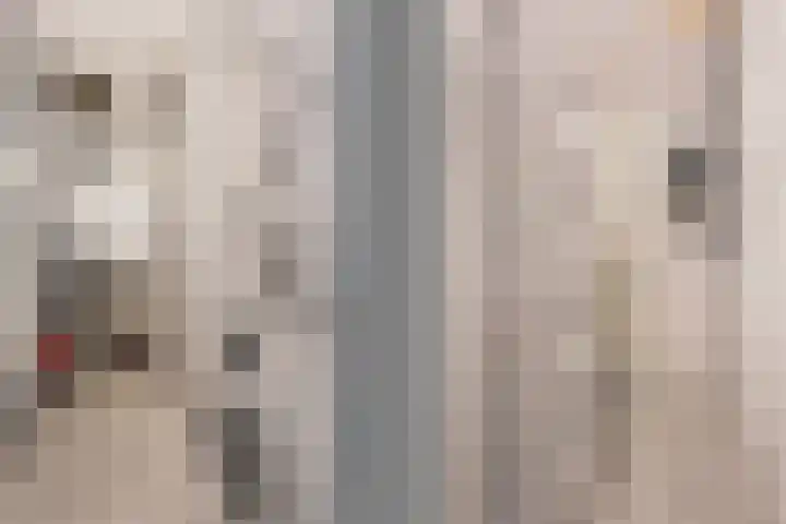 Honswijkpolder 42 De Meern thumbnail 37