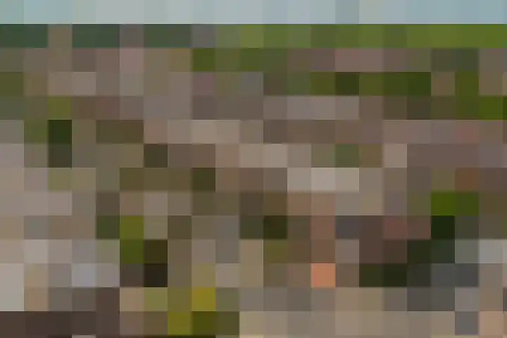 Honswijkpolder 42 De Meern thumbnail 39