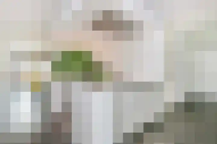 Honswijkpolder 42 De Meern thumbnail 4