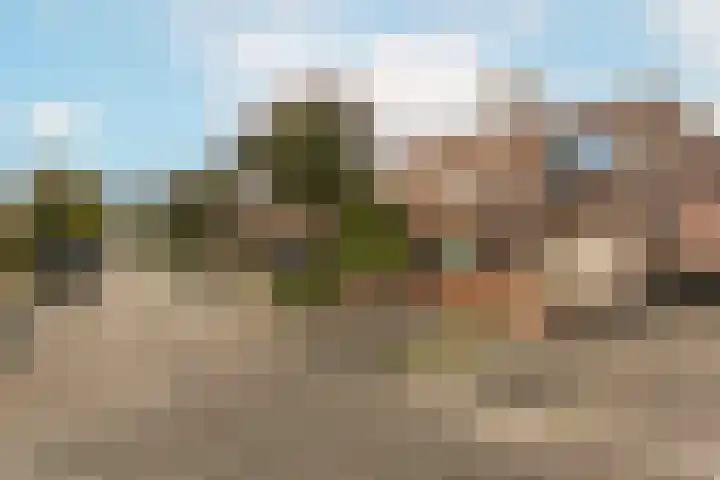Honswijkpolder 42 De Meern thumbnail 40