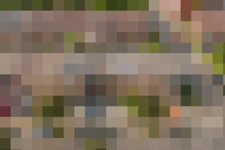 Honswijkpolder 42 De Meern thumbnail 42