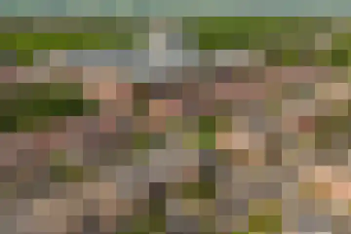 Honswijkpolder 42 De Meern thumbnail 44